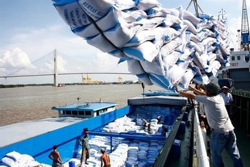Vietnam sees rice export growth in January