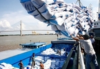 Vietnam sees rice export growth in January
