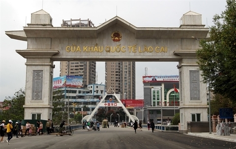 VN farm produce exporters urged to look at markets other than China