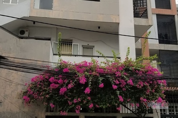 Rơi thang máy ở Sài Gòn, 1 người chết, 2 người nguy kịch