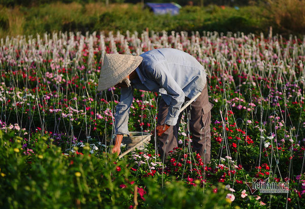 Để cho doanh nghiệp chúng tôi phát triển