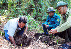 Mekong Delta, Central Highlands brace for forest fires