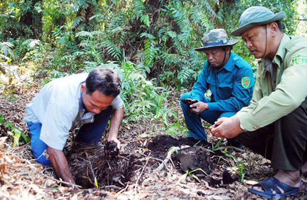 Mekong Delta, Central Highlands brace for forest fires