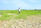 Salinity intrusion in Mekong Delta exceeds record level from 2016
