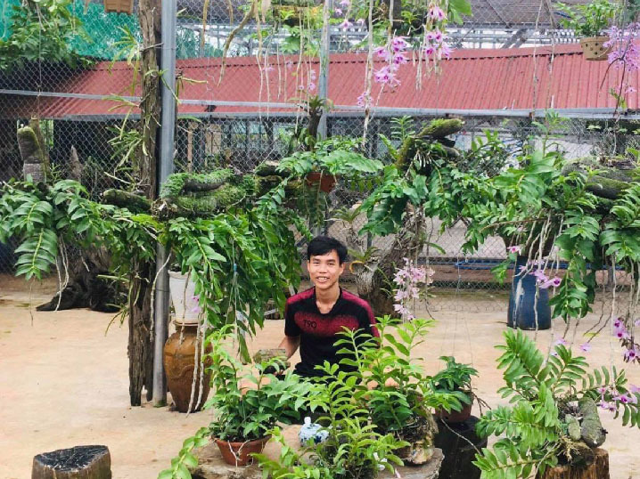 Mô hình trồng lan trên mái nhà và chuyện khởi nghiệp thành công từ hoa  phong lan Var của anh Nguyễn Tấn Lên
