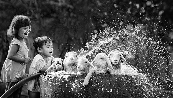 Balkan Exhibition honours Vietnamese photographers