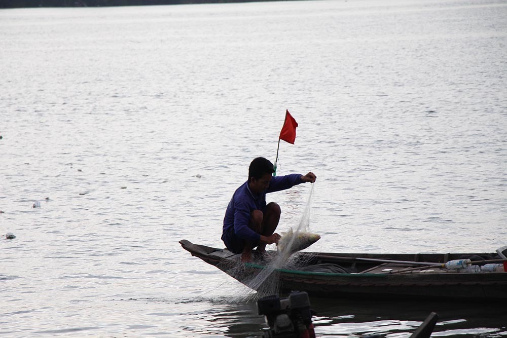 Cuộc săn loài cá 'nhìn là mê, ăn là phê' của ngư dân miền Tây