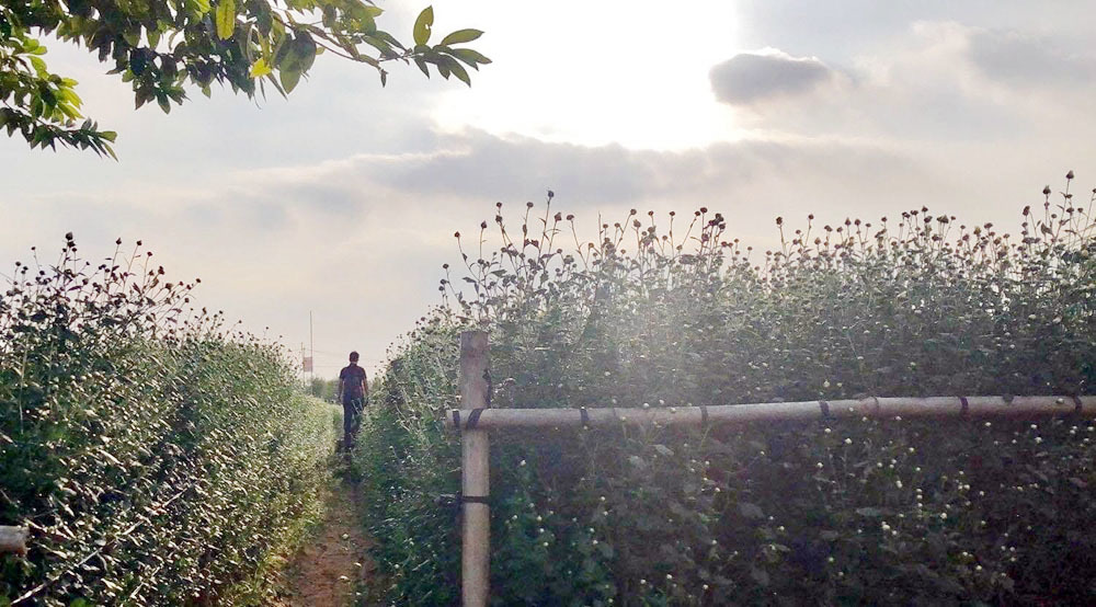 Chồng ngoại tình để lại ‘hậu quả’ còn trách vợ không biết giữ gia đình