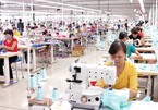 Material autonomy key for Vietnam to fully exploiting EVFTA