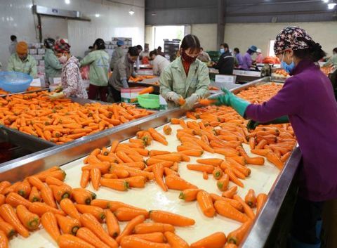 COVID-19 highlights need for economic restructuring