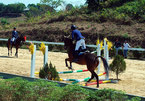 Olympic horse riding club opens in Lam Dong