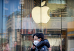 iPhone chững lại, Apple dự báo 'thất thu' vì Covid-19