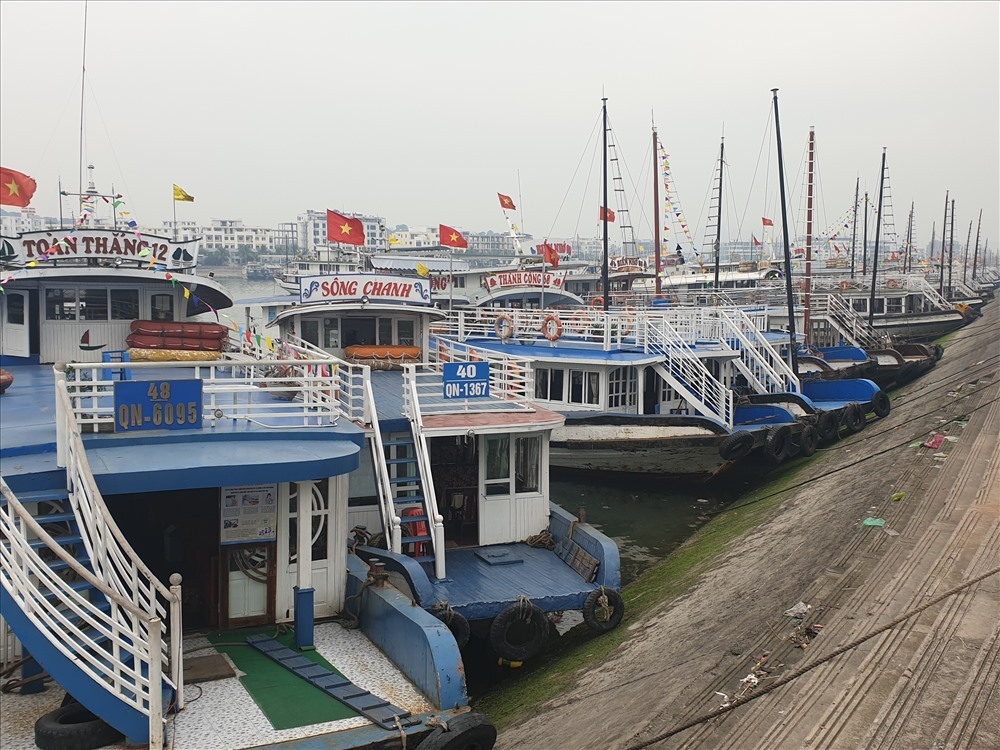 Hundreds of tour boats in Ha Long Bay left idle