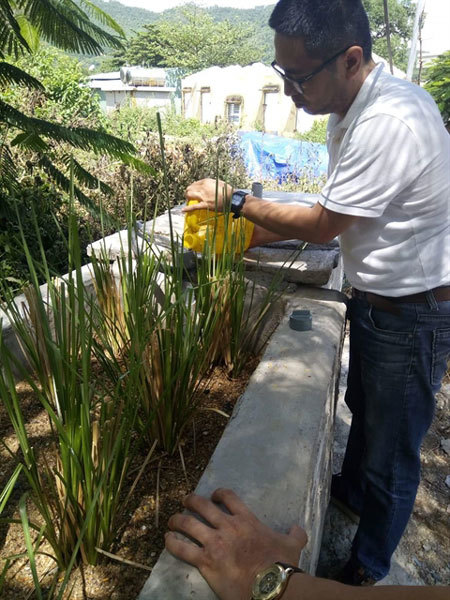 Da Nang pilots vetiver grass waste treatment system