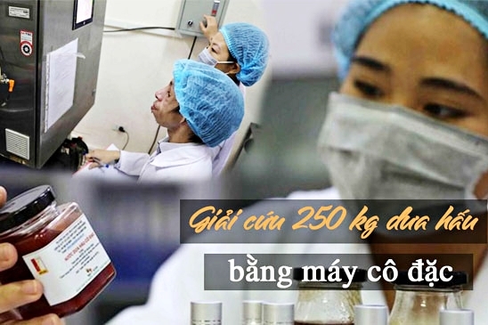 ĐH Bách khoa ứng dụng công nghệ có khả năng 'giải cứu' 200 tấn dưa hấu/ngày