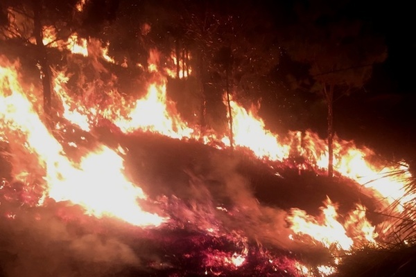 Lâm Đồng: Cháy lớn trên núi Đại Bình