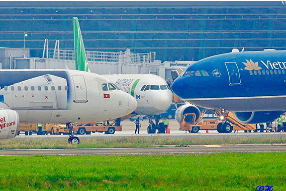 Các hãng hàng không Việt tạm dừng bay tới Hàn Quốc