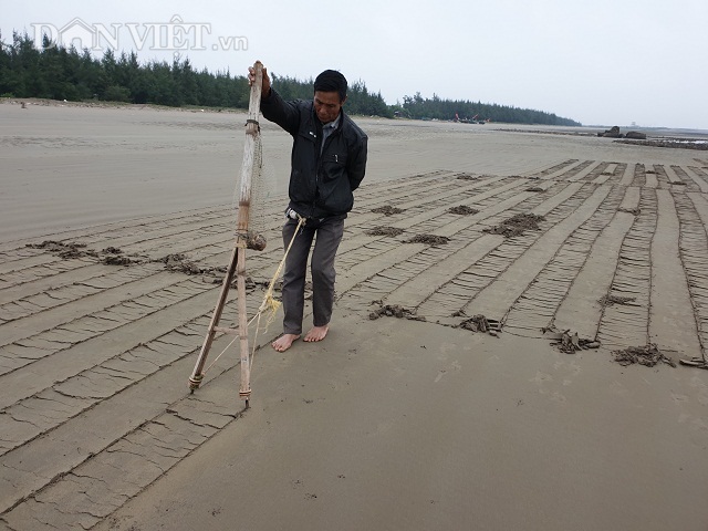 Nghề độc, lạ ở Nam Định: Đi cày trên biển bắt ngao to bự Nghe-bat-vang-1