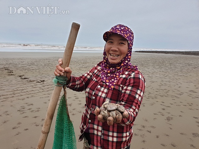 Nghề độc, lạ ở Nam Định: Đi cày trên biển bắt ngao to bự Nghe-bat-vang-4