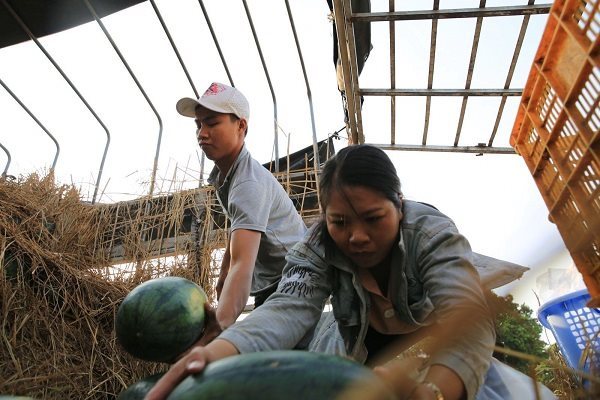 The ‘farm produce rescue’ method