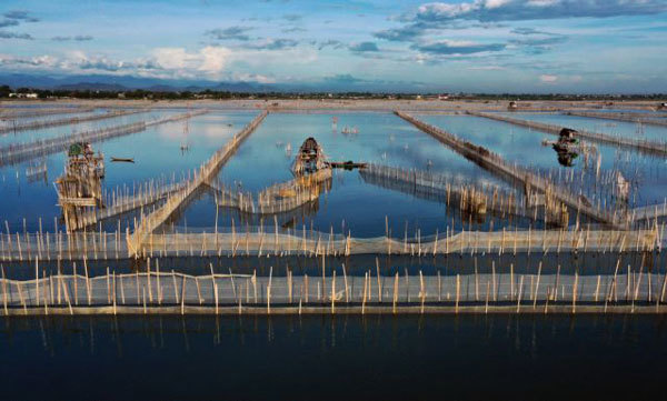 Nature reserve founded in central Vietnam