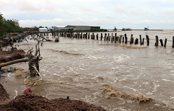 Mekong Delta grapples with erosion, subsidence