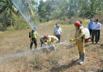 Early forest fire warnings vital