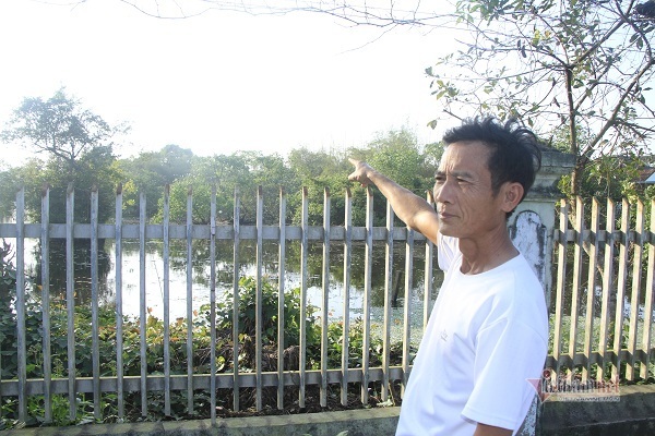 Đàn cò vạn con ở Hà Tĩnh, dân canh giữ như báu vật