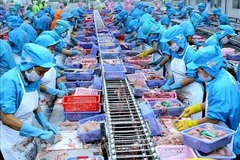 VN seafood exporters not too worried about COVID-19