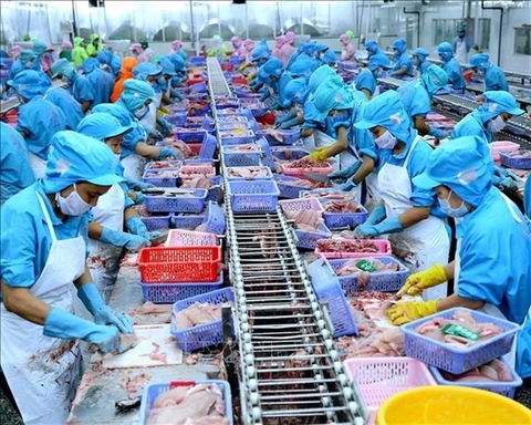 VN seafood exporters not too worried about COVID-19