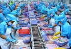 VN seafood exporters not too worried about COVID-19
