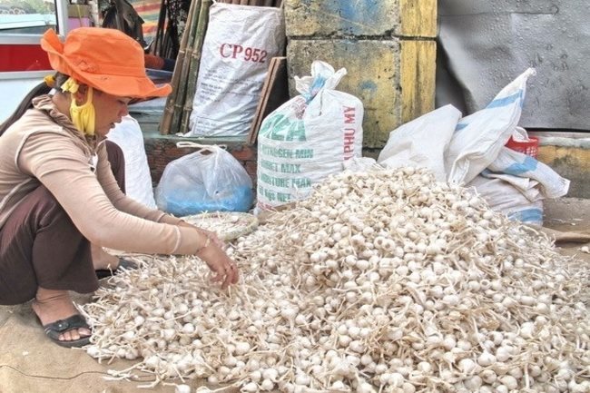 Facebook user fined for false post on Ly Son Island’s garlic