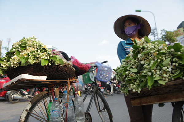 Dự báo thời tiết ngày 1/3, Hà Nội có sương mù, miền Nam nắng nóng