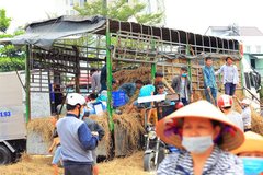 Post-coronavirus economic policies