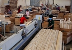 Local wood firms need to diversify suppliers to survive