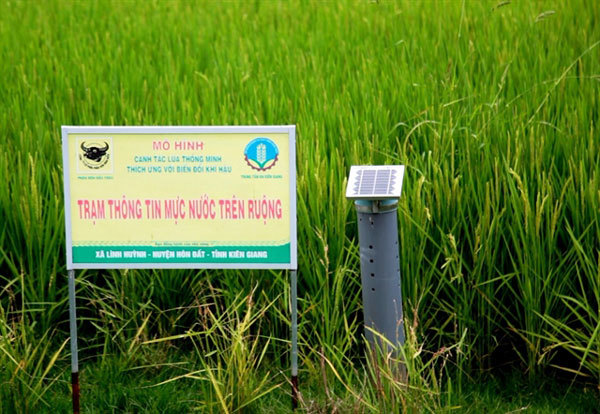 Mekong Delta farmers expand smart rice farming