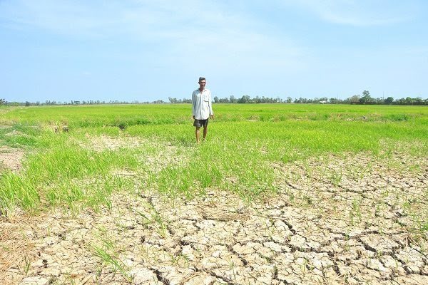 Salinity forecast to worsen in Mekong Delta this month