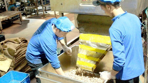 VN cashew market hard to forecast due to coronavirus outbreak