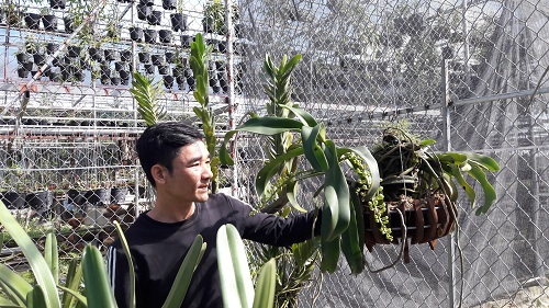 Vườn lan rừng tiền tỷ của kỹ sư tin học bỏ phố về quê Hà Tĩnh