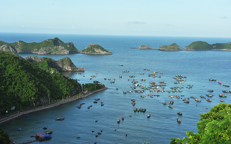Vietnam tourism industry prepares post-epidemic plans