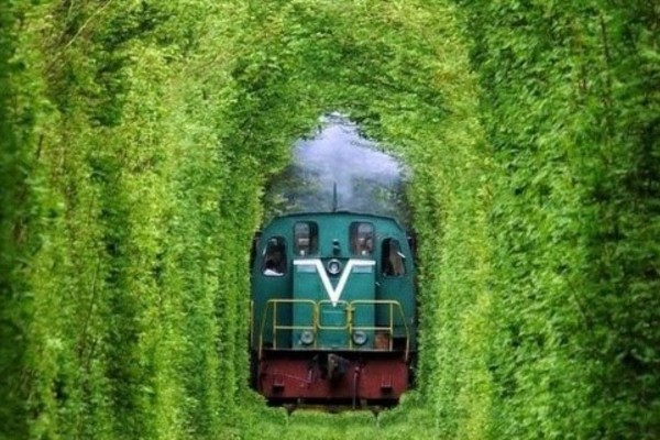 Vẻ đẹp mê hoặc suốt 4 mùa của Đường hầm tình yêu ở Ukraine