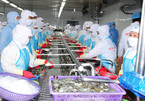 Shrimp exporters in Mekong Delta face challenges amid Covid-19 epidemic