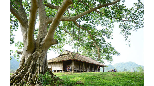 A commune full of stilt houses