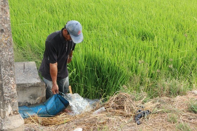 Mekong Delta gets VND70 billion for seawater intrusion control