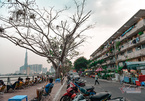 Nhịp sống chậm rãi hiếm có ở bán đảo giữa lòng Sài Gòn