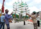 Vietnam overtakes Thailand in rice exports