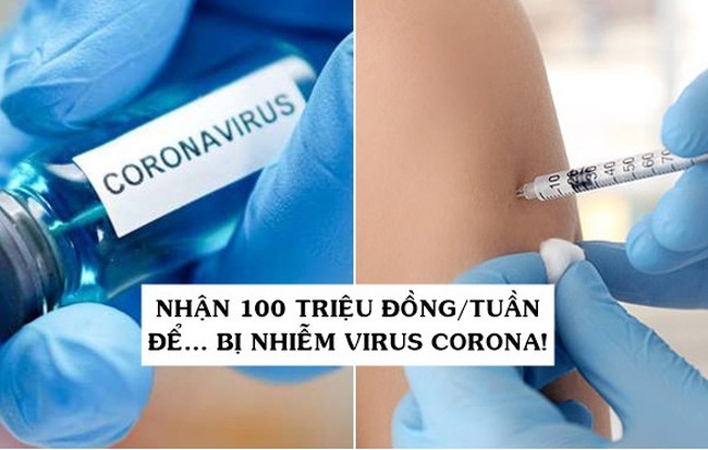 Nhận 100 triệu/tuần, ngồi thư giãn, việc duy nhất là… bị nhiễm virus corona