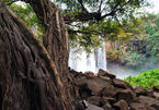 Phu Cuong Waterfall, a silk strip amidst the Gia Lai Mountains