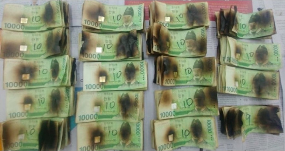 ''Khóc ròng' vì khử khuẩn tiền bằng lò vi sóng thời Covid-19