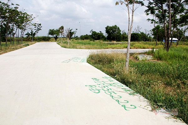 Thu thập thông tin khách hàng bị lừa mua đất của Công ty Phi Long